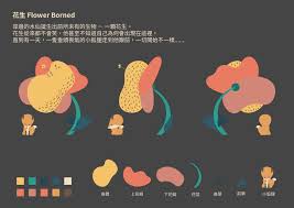 illustration design 插畫設計上的釘圖