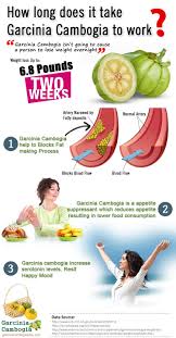 Does Garcinia Cambogia Work How Long Does It Take For Garcinia Cambogia To Work Garcnia Garciniac Garcinia Cambogia Diet Garcinia Cambogia Pills Garcinia