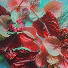 Anthuriums Looking Delicious Anthurium Flower Flowers Anthurium