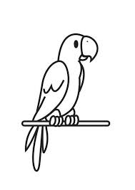 Parrot Coloring Page Google Search Parrot Drawing Coloring Pages Animal Coloring Pages