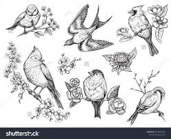 Bird Sitting On Branch Sketch Bird Hand Drawn Set In Vintage Style With Flowers Spring Birds Sitting On Blossom Branches Linear Engraved Art Spons How To Draw Hands Drawing Set