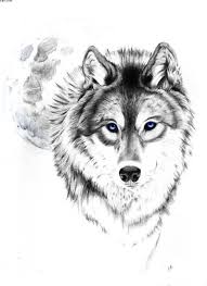 Black And White Wolf Tattoo With Blue Eyes Blue Eyes Wolf Tattoo Sample Wolf Tattoo Design Wolf Tattoos Wolf Tattoo