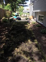 Most plants concentrate their roots in this top layer of soil and obtain. Lawn Renovation Naperville Il Core Aeration In Naperville Dethatching