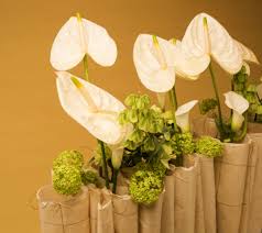 Page Not Found Flower Arrangements Beautiful Flower Arrangements Beautiful Flowers