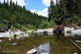 The packard creek day use area is a great place to escape the summer heat and offers opportunities for swimming, boating, fishing, and exploring the surrounding willamette national forest. Canton Creek Campground Swimming Hiking Camping Oregon Discovery