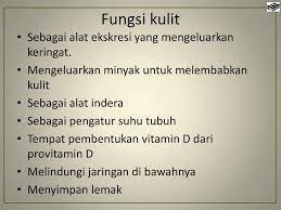 Tujuan utama kulit mengeluarkan keringat adalah. Tujuan Utama Kulit Mengeluarkan Keringat Adalah Masnurul
