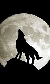 Pin De Cigdem Em 1 Desenho De Lobo Uivando Lobos Uivando Lobo Uivando Pra Lua
