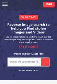 Berify Reverse Image Search To Help You Find Stolen Images Reverse Image Search Image Search Image Search Engine