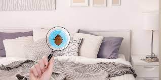 Puce comment s en débarrasser. Comment Reperer Les Puces Dans L Habitat Et S En Debarasser