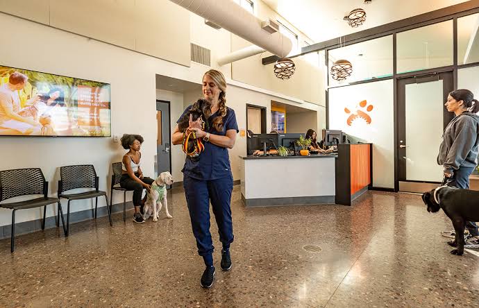 Pet transport
