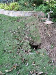 You can fix a sinkhole by pouring concrete into it to plug it up and then filling it with clay sand and dirt. Sinkhole Repairing Walter Reeves The Georgia Gardener