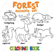 Ausmalbilder waldtiere produkte sind am beliebtesten in north america, western europe, und south america. Malbuch Reihe Von Lustigen Igel Eichhornchen Bagger Wildschwein Und Reh Kinder Vektor Illustration Waldtiere Lizenzfrei Nutzbare Vektorgrafiken Clip Arts Illustrationen Image 66436818