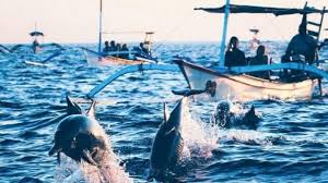 Sahabat beriman, siapa yang pernah bermimpi? Dihuni Hiu Dan Lumba Lumba 5 Pulau Indonesia Ini Jadi Sorotan