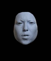 Anatomically Constrained Implicit Face Models