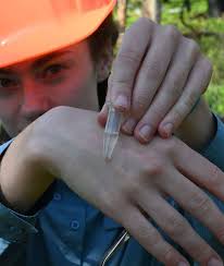 Using fire management to see how ticks... tick