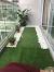 Artificial Grass On Wall