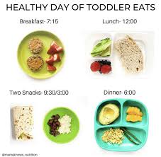 Meal delivery services are everywhere these days, and it's easy to see why. Inspiration For 19 Days Worth Of Healthy Toddler Meals