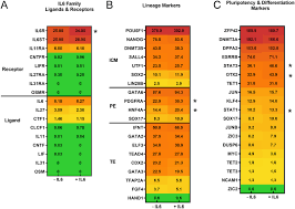 Want to be able to loop your animation in after effects without having to create multiple keyframes? Interleukin 6 Requires Jak To Stimulate Inner Cell Mass Expansion In Bovine Embryos In Reproduction Volume 158 Issue 4 2019