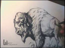 Drawing An American Buffalo Bison By Igor Lukyanov Animal Drawings Drawings Animal Art