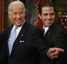 Image result for Bidens buchneri
