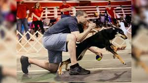 Ask the Expert: Avoiding DIY Home Remodeling Injuries