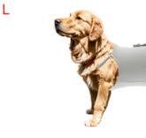 Reusable Dog Diapers Female Dog Suspender Panties with ...