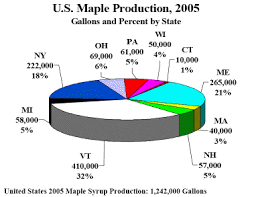 sugar maple and the ojibway people