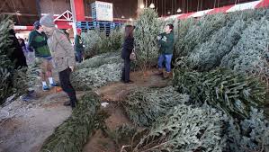As central indiana's source for public broadcasting, wfyi provides a range of tv programming spanning local original and pbs productions. 10 Things To Know Before Christmas Tree Shopping