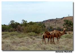 Find where is oregon located on the usa map. Ayers Rock Exploring The Heart Of Australia