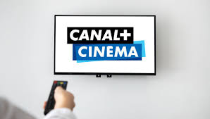 A la boutique en ligne : Canal Plus En Clair Piratage Organise Ou Concurrence Deloyale