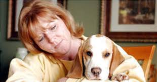 Haute dogs: Competitions are tests of trainability, skills and instincts