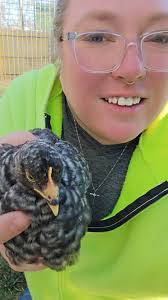Niece made a beautiful smurf rock for her sister