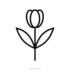 In fact, we have 14 different free flower coloring pages pdf here from the artist at kids activities blog that we are excited to share. Tulip Flower Coloring Page Ultra Coloring Pages