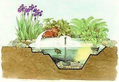Le Mouvement Provenant D Une Pompe De Circulation Et D Une Fontaine Suffit A Oxygener Ce Petit Bassin En Polyethylene De En 2020 Bassin De Jardin Bassin Revetement Sol