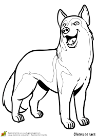 page 161 sur 254 hugolescargot com dog top husky images pokemon coloring coloriage ho oh
