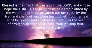 One way to be led by the deceitful heart is to give no energy to seeking the kingdom of god and his righteousness. Jeremiah 17 Kjv Esv Dailyverses Net