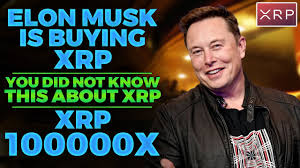 Dogecoin, on the other hand, was the exception, as has been the case … Xrp Will Rise 100x In 2021 Buy The Dip Now For Huge Profit Xrp Price Prediction Xrp News Today Youtube