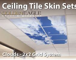 Change The Look Of Your Drop Cei Drop Ceiling Tiles Dropped Ceiling Ceiling Tiles