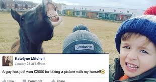 Horse Owner Demands Part of Prize After 3-Year-Old Wins Photo Contest