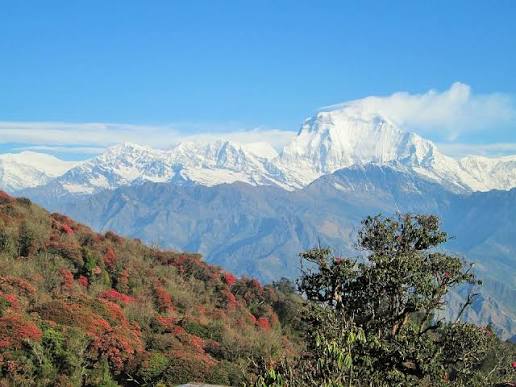 Himalaya Nepal Himalayas - Free photo on Pixabay