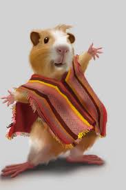 Poncho Funny Phrases Funny Spanish Jokes Morning Greetings Quotes