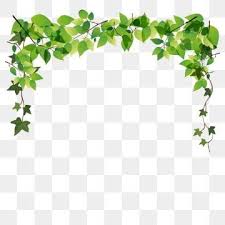 Leaf drawing watercolor painting illustration, green leaves, illustration of green leafed plant transparent background png clipart. Green Leaf Green Leaves Spring Green Plant Ecology Branch Png And Vector With Transparent Background For Free Download Leaf Clipart Flower Background Design Spring Flowers Background