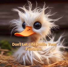 Don't let life ruffle your feathers!