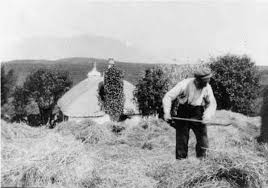 Image result for forking hay