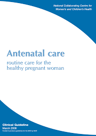 Https Www Nice Org Uk Guidance Cg62 Evidence Full Guideline Pdf 196748323