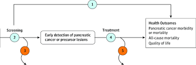 Finding pancreatic cancer early is challenging, but there are some signs and symptoms that can help people find out if they have the cancer early by looking for attention to certain indicators. Analytic Framework Screening For Pancreatic Cancer Download Scientific Diagram
