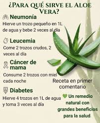 🍀🌱el poder de aloe verá 🍃🌵