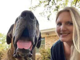 Heart of Texas Great Danes