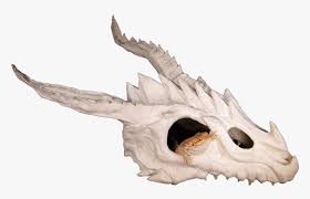 Bearded dragons are one of the most popular pet lizards to keep at home. Bearded Dragon Skull Hide Hd Png Download Transparent Png Image Pngitem