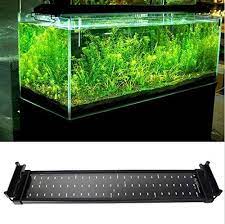 Want This Hot Sale Aquarium Fish Tank Smd Led Light Lamp 11w 2 Mode 50cm 60 White 12 Blue Euukus Plug Marin Led Aquarium Lighting Fish Tank Fish Tank Lights